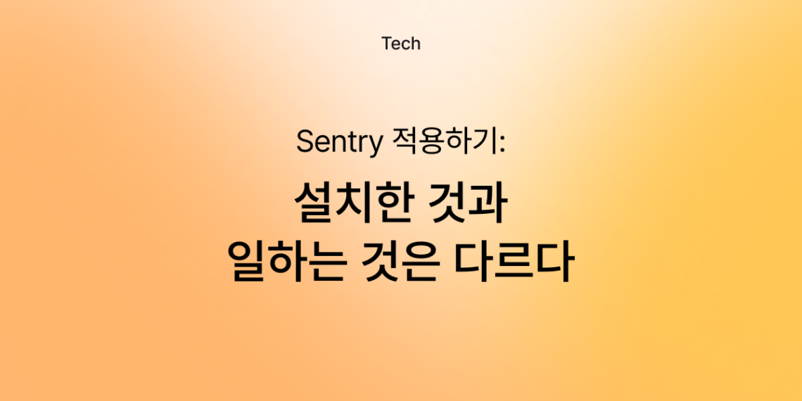 설치한 Sentry와 일하는 Sentry는 다르다