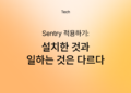 설치한 Sentry와 일하는 Sentry는 다르다