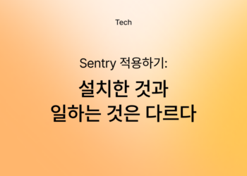 설치한 Sentry와 일하는 Sentry는 다르다