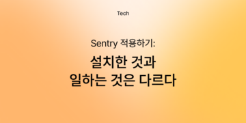 설치한 Sentry와 일하는 Sentry는 다르다